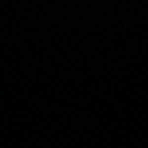 Meet your Posher, Solomon